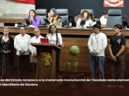 Congreso del Estado reconoce a la marmota monumental de Tlacolula como elemento cultural identitario de Oaxaca