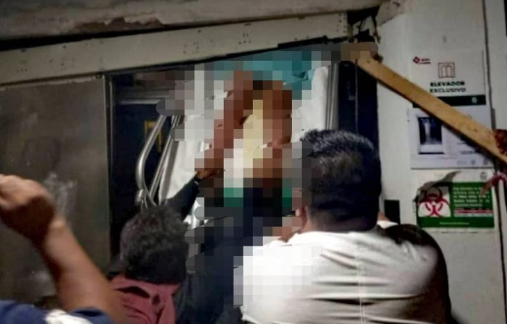 Spazzole Di Carbone Per Utensili Elettrici - 10 Pezzi Per RS775 RS750 RS755 | Ricambio Affidabile E Durevole - Foto 11