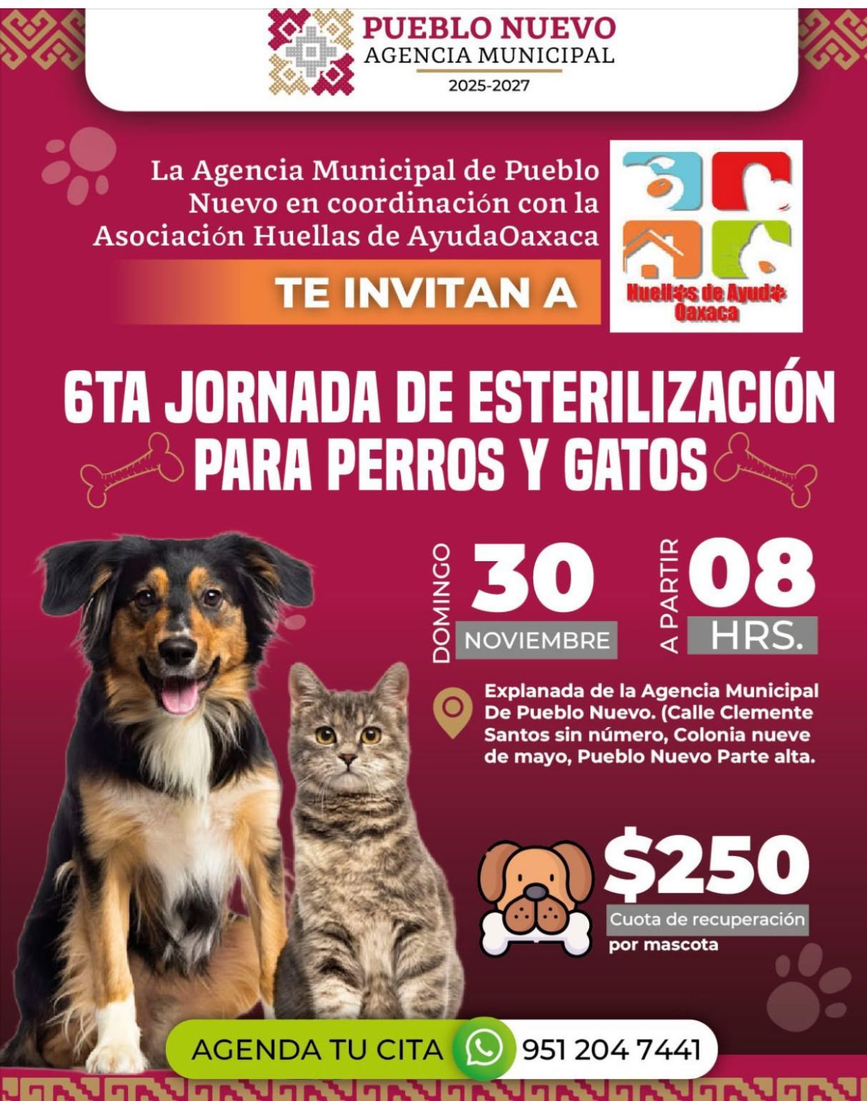 Invita a la jornada de esterilización en Pueblo Nuevo.