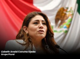 Con iniciativa proponen crear en los Ayuntamientos una Regiduría de Medio Ambiente, Biodiversidad y Sostenibilidad