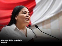 Plantean en el Poder Legislativo acciones permanentes para garantizar por ley políticas públicas contra riesgos digitales en jóvenes