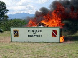 FGR lleva a cabo la incineración de más de 500 kilogramos de narcóticos en Miahuatlán, Oaxaca