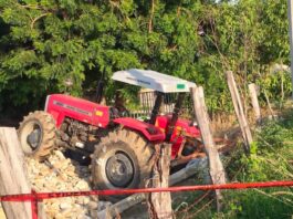Trágico accidente en Bajos de Chila