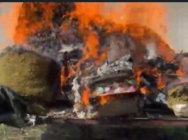 FGR destruye más de 850 kilogramos de narcóticos.