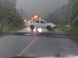 Caída de poste de energía eléctrica interrumpe la circulación vehicular en la carretera federal 175 a la altura de Santa María Jacatepec