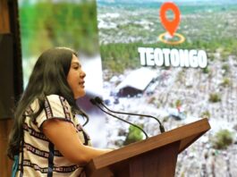 Destaca diputada Tania Caballero impacto de la Jornada Nacional de Reforestación en Oaxaca y la Mixteca