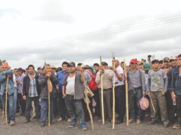 Se reunirá Jara con comunidades chiapanecas asentadas en Oaxaca; buscan se incorporen a la entidad