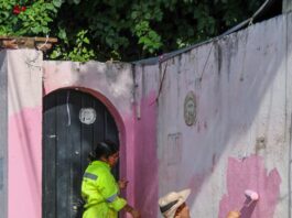 Gobierno municipal de Oaxaca de Juárez y ciudadanía suman esfuerzos para mejorar Panorámica del Fortín