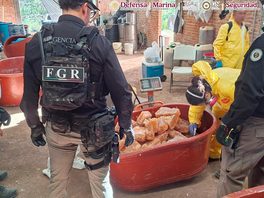 En San Luis Potosí, autoridades federales y locales aseguran más de 200 kilos de metanfetamina y precursores químicos
