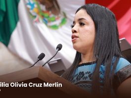 Buscan reformar la Ley de Cultura Física y Deporte para fortalecer la accesibilidad, la inclusión y el desarrollo del deporte adaptado