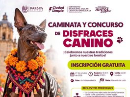Lista caminata de lomitos en Oaxaca
