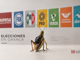En Opinión: «Las elecciones que no llegaron a Oaxaca: los palomeados que se quedaron en el camino» por Wilfrido Hernández Cardozo